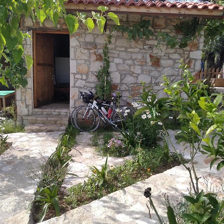 Filoxenia - The Place Of Experience Himare Ngoại thất bức ảnh