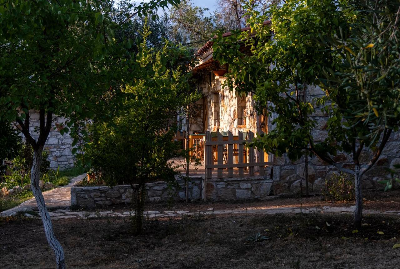 Filoxenia - The Place Of Experience Himare Ngoại thất bức ảnh