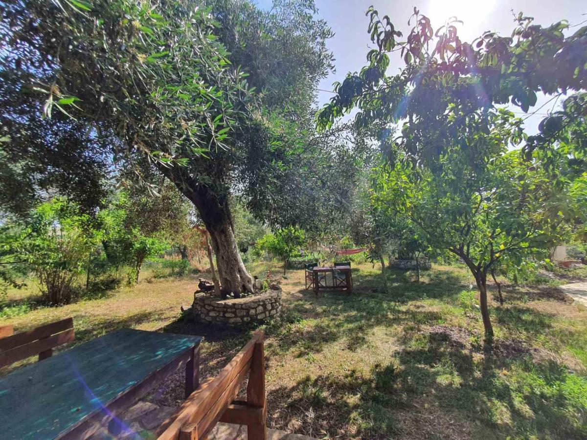 Filoxenia - The Place Of Experience Himare Ngoại thất bức ảnh